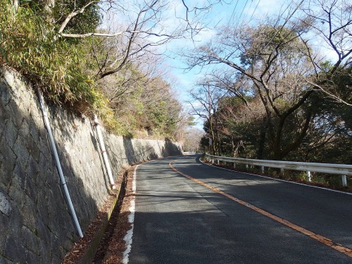 後半は勾配も穏やかに