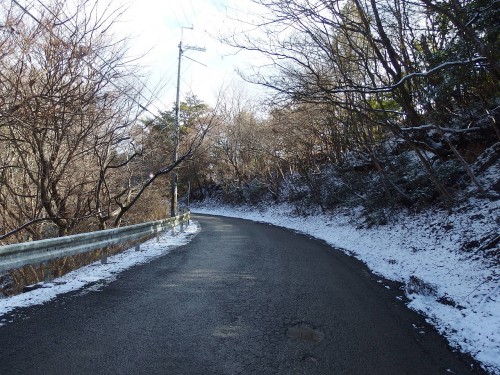 路面がウェッティに