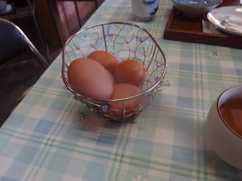 「たまごかけごはん定食」頂きました