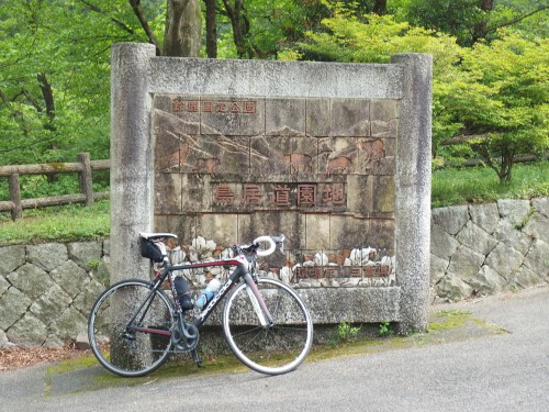 ダウンヒル途中の休憩