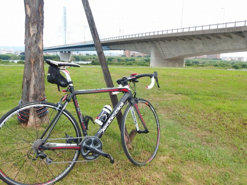 おなじみの城北公園