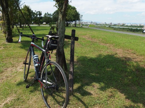 楽しかった淀川！