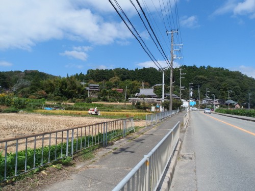 風がやたらに強い