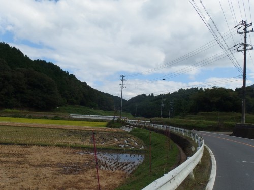 とても良い雰囲気の道