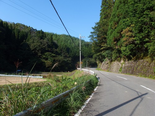 意外と車の往来もありました