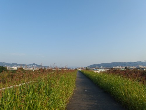 北摂の山々が見えてきた