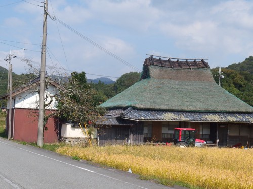 情緒がある