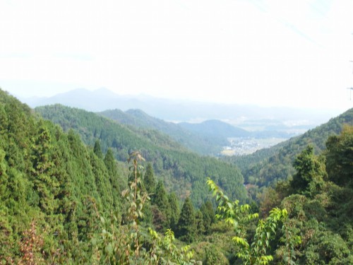 遠くに篠山の街並みが見える