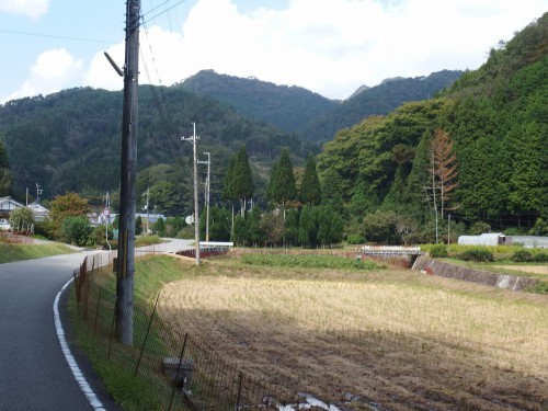 気持ちの良い景色