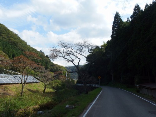 行きとは違う景色に見える