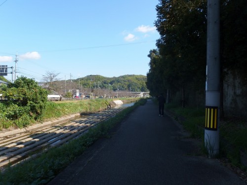 平和な川沿いを走る