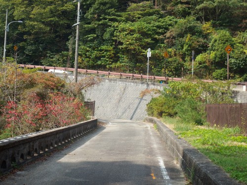 交通量も少なく落ち着いた道