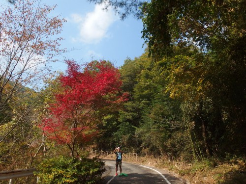 気の早い紅葉も