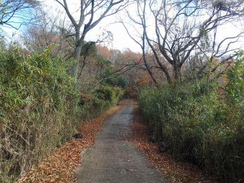 まだまだ登る