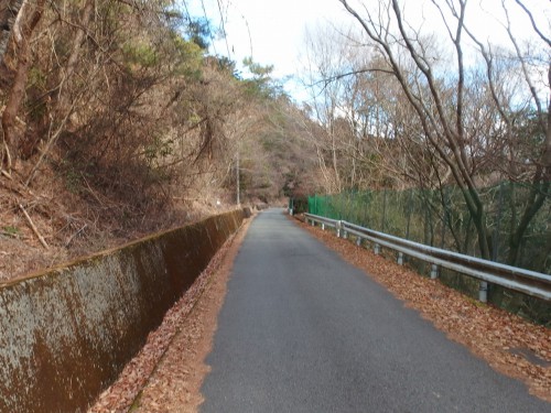 後川へダウンヒル