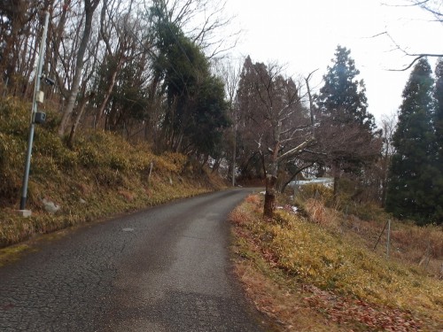 道の雰囲気が変わってきます