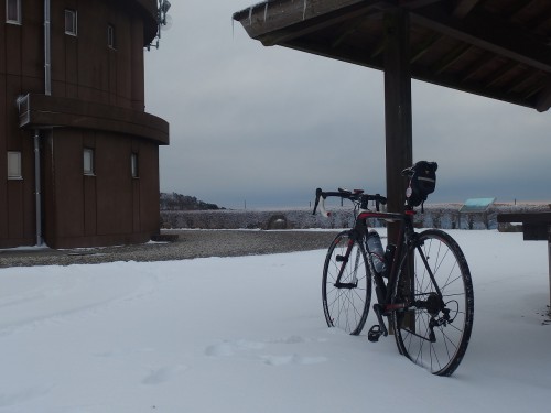 雪に自転車は合う