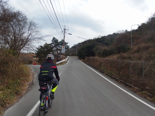 縦貫をまたぐために上る