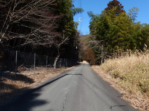 雰囲気のある名も無き峠道