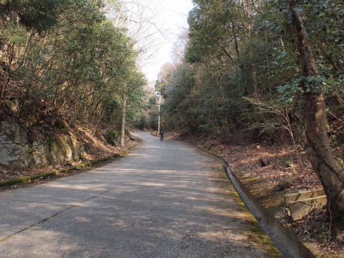 激坂、花山院