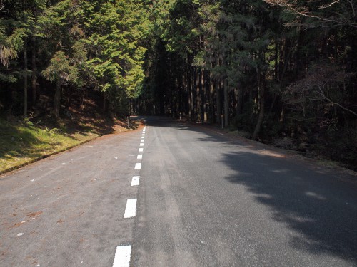 素敵な峠道