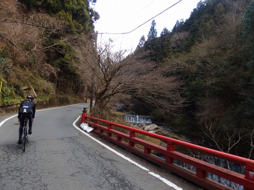 京都を感じる道