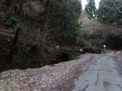 芹生峠へ