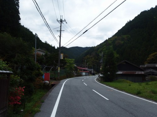 引き続き山道を行く