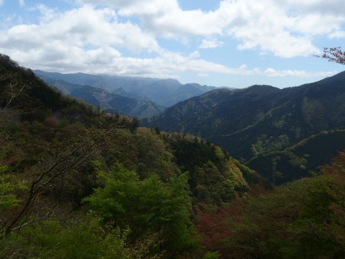 新緑が美しい！