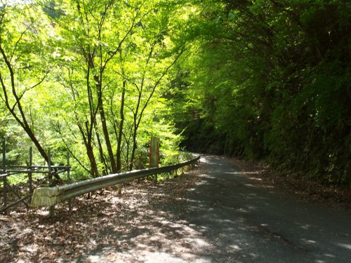 路面は悪い