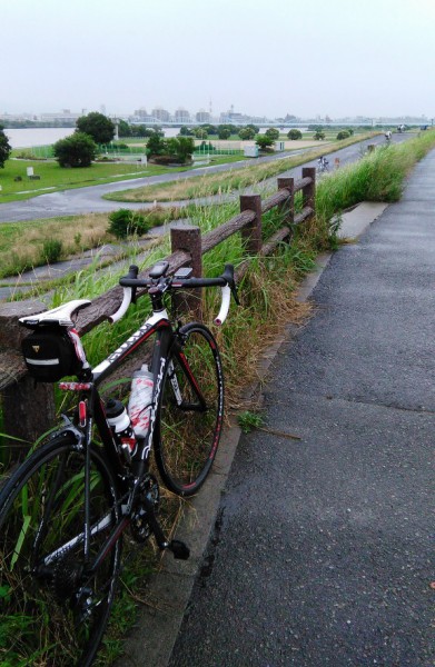 雨の毛馬