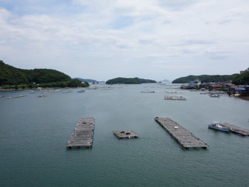 素敵な湾の景色