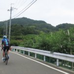 桃の季節がやってきた！和歌山・紀の川～紀美野町を走る充実の「桃ライド」を走る！！