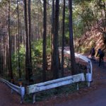 大阪からグルっと約130km！京都・嵐山を経由して保津峡「神明峠」を走る山岳コースへ！