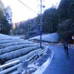 雪の降る真冬の滋賀県へ！大阪から信楽経由で栗東の「自然薯料理とろりん」へロングライド！！