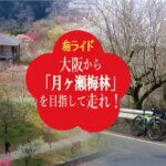 【梅のお花見ライド】大阪から梅の名所「月ヶ瀬梅林」を目指して走れ！