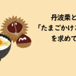 丹波栗と「たまごかけご飯」を求めて秋の丹波篠山へ！！