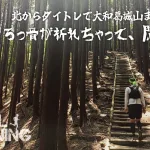 【トレラン】ちょっと肋骨を折りに、ダイトレで大和葛城山まで！